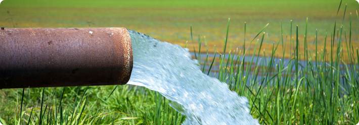 Water flowing from a borewell